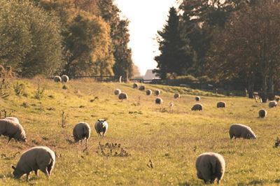 Threats of legal action after Expropriation Bill signed into law