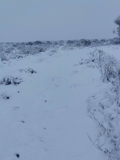 N2 in KZN closed due to snowfall