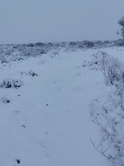 N2 in KZN closed due to snowfall