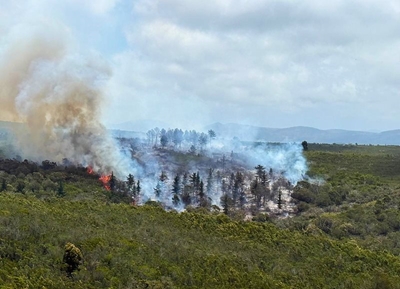 Fire under control