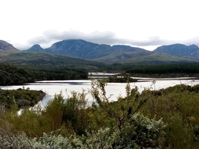 Garden Route Dam level update