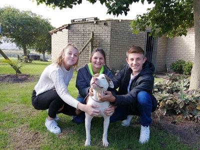 Dog locks in with new family in time for lockdown 