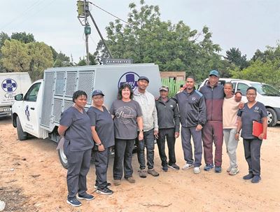 Wilderness dogs get sterilised