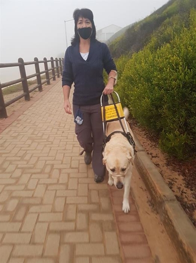 Siggestremde en hond deel van landwye veldtog