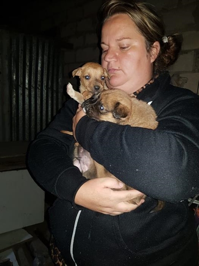 Man still in custody for 'skinning' dog