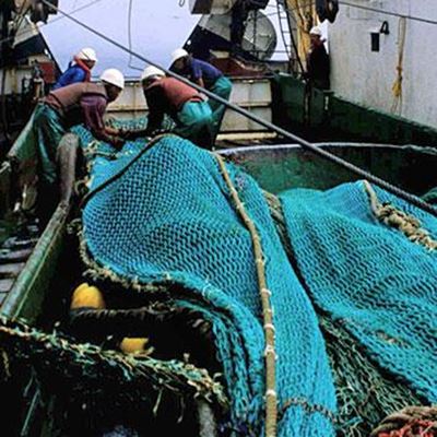 Viking Fisheries: Case postponed