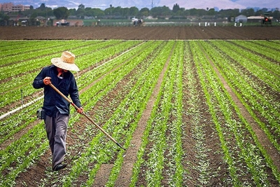 Farming without government support