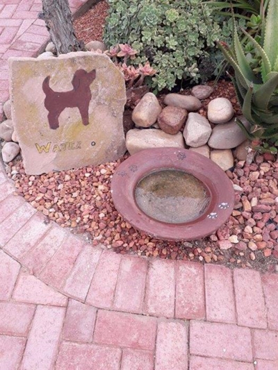 Honde-oase bied blaaskans op pad