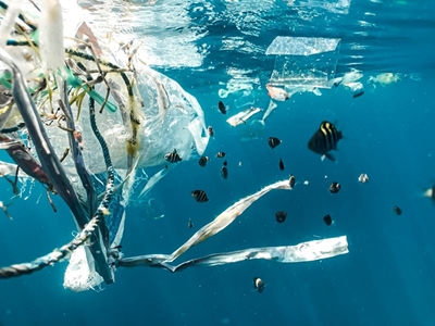 SA welcomes resolution to end plastic pollution