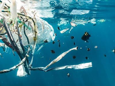SA welcomes resolution to end plastic pollution