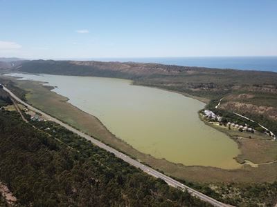 Groenvlei carp project faces shift as key roleplayer exits