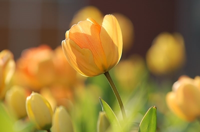Shake up your finances this spring