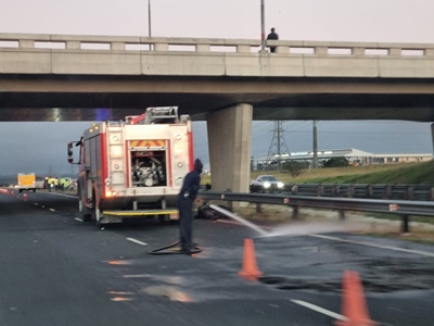 Horse killed on N2