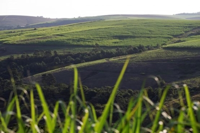 5 things making headlines in SA today