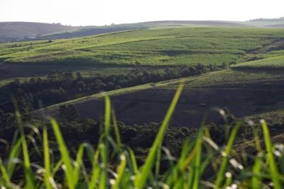 5 things making headlines in SA today