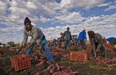 Land expropriation: How Parliament will decide