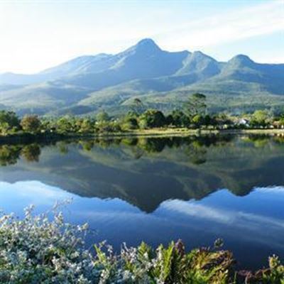 Update: Man robbed in Botanical Garden