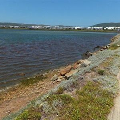 Estuary action plan on track