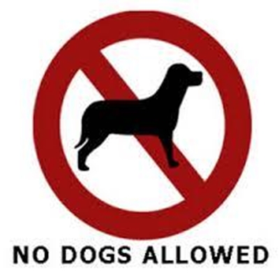 Onthou insette oor honde
