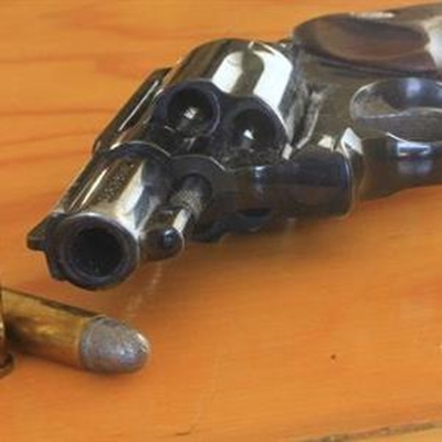 Check your gun license