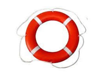 Plett lifesavers do it again