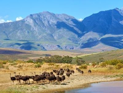 See Klein-Karoo with Wessa