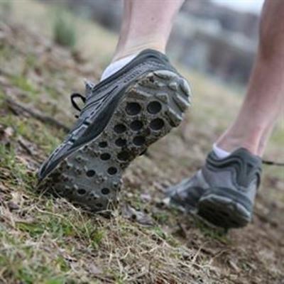 Most anticipated forest marathon