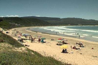 Update: Buffel's Bay dune project