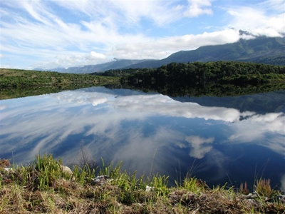 Dams are full and farmers are smiling