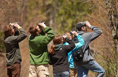 Learn to identify LBJ's and other birds