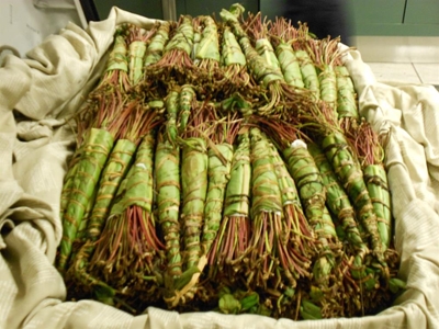 Police confiscate Khat