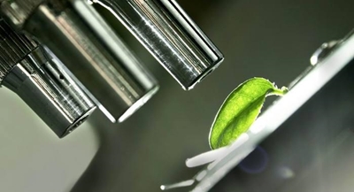 Ford is the 'greenest' of them all