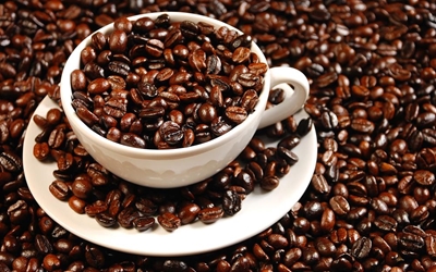 Coffee to fuel mushrooming project