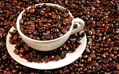Coffee to fuel mushrooming project