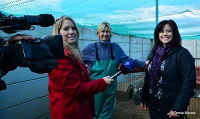 Penguin rehabilitation centre says thank you