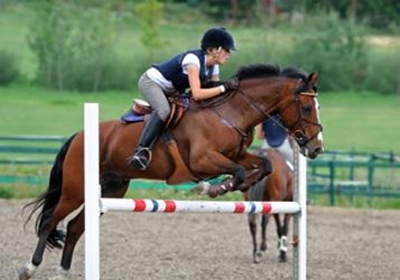 National equestrian shake-up affects Southern Cape