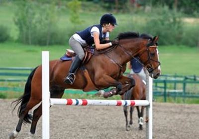 National equestrian shake-up affects Southern Cape
