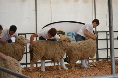 Opvolg: Agri-Heroldfees om die draai