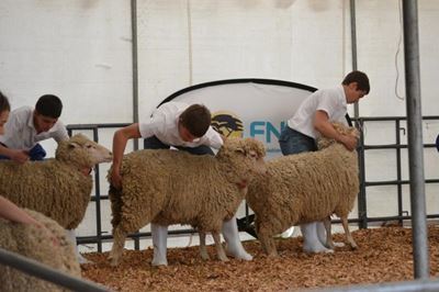 Opvolg: Agri-Heroldfees om die draai