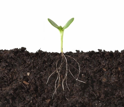 Increase profits with biological farming