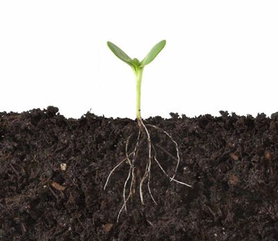 Increase profits with biological farming