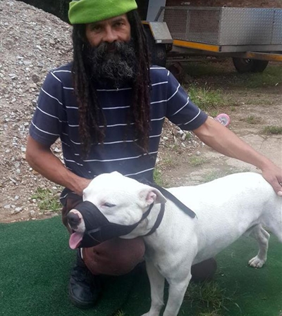 Update: Pitbull bylaws proposed