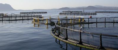 PE campaigners say no to fish farm