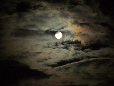 Full Moon Beach Run in memory of Carne