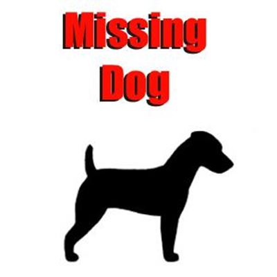 Beloning vir vermiste hond