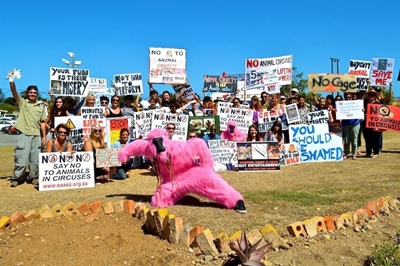 Protest against wild animals in circus