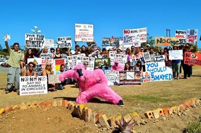 Protest against wild animals in circus