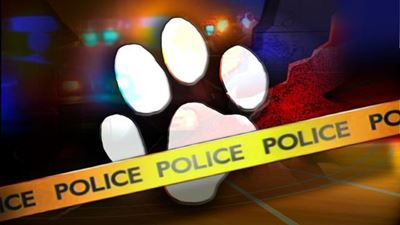 Klag teen tiener wat hond stenig