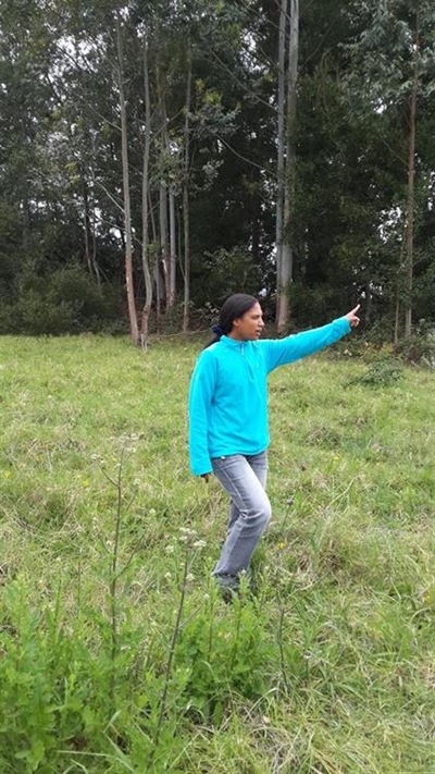Alien invasion in Knysna
