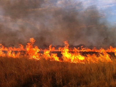 Controlled fire in Harkerville